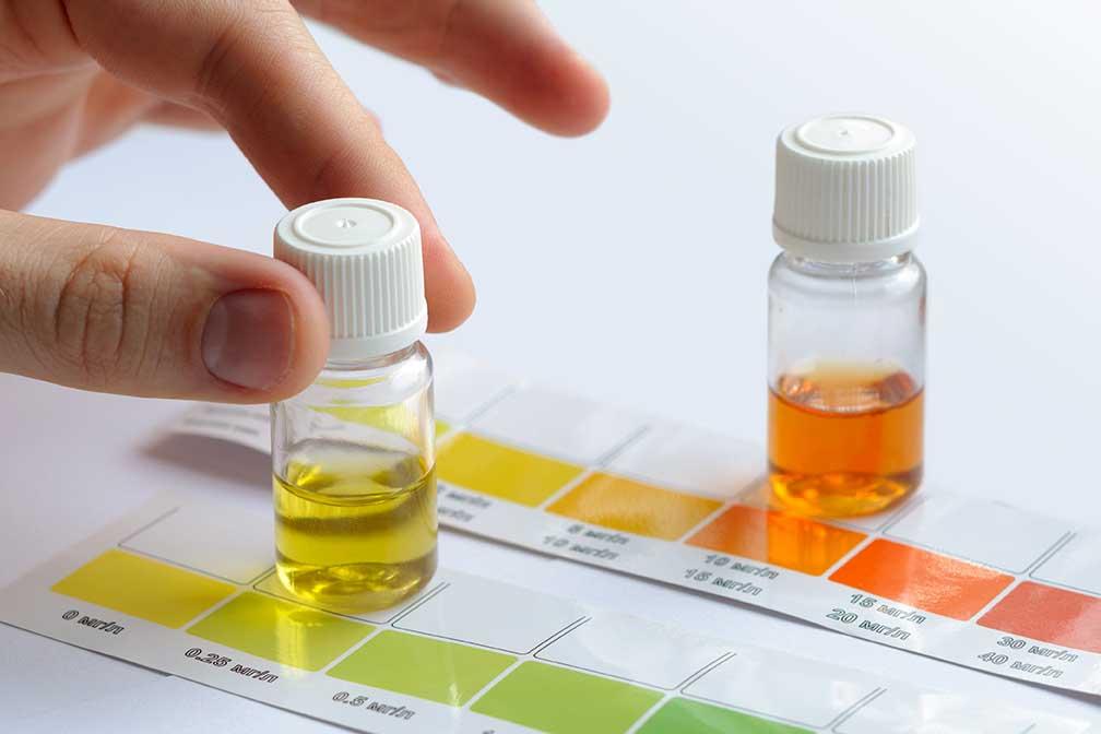 water-quality-testing
