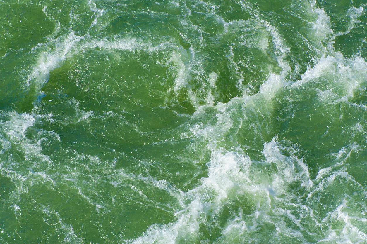 green cloudy hot tub water algae